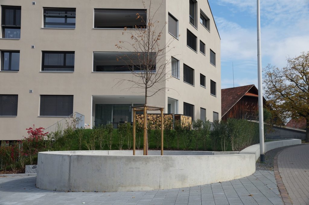 Gezeigt wird ein modernes Wohnhaus mit minimalistischem Design. Davor steht ein geschwungener Betonkübel mit einem jungen Baum, der von Holzpfählen gestützt wird. Man sieht Büsche und einen gepflasterten Weg, dazu einen wolkenverhangenen Himmel und ein angrenzendes Gebäude.