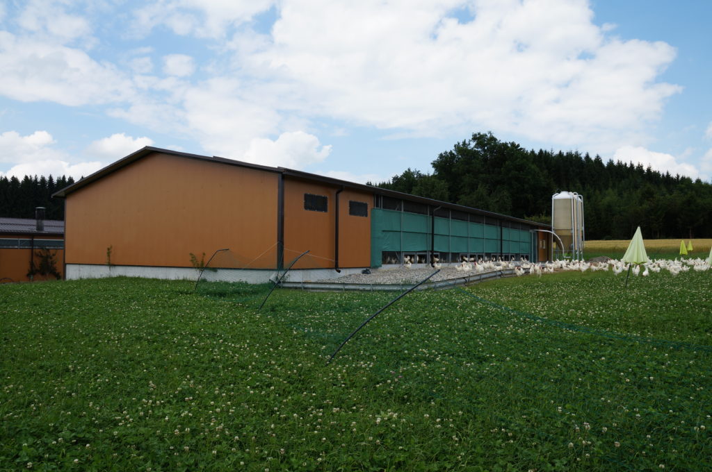 Ein langes, niedriges Gebäude mit einer orange-grünen Außenfassade steht auf einer Wiese unter einem bewölkten Himmel. In einem überdachten Bereich des Gebäudes sind Kühe zu sehen und in der Nähe steht ein großes Metallsilo. Im Hintergrund säumen Bäume den Horizont.